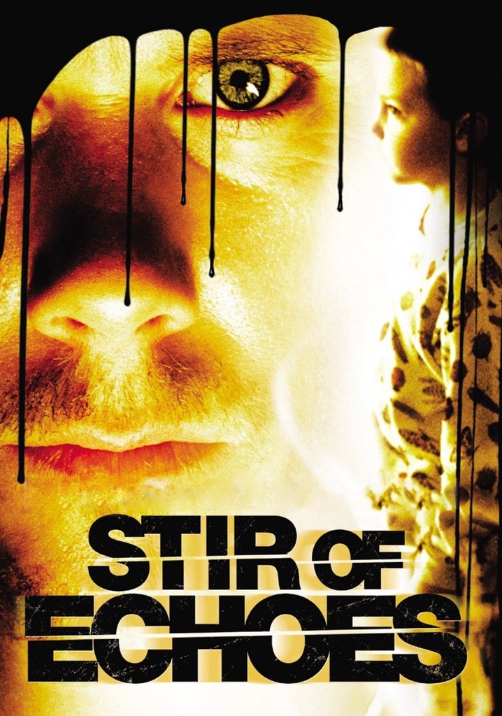 Stir of Echoes movie watch streaming online